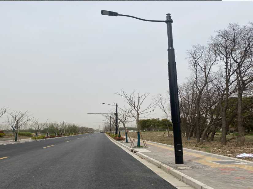 仙游县上海综合杆 太阳能路灯工程